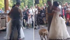 Da brudeparret dansede den første dans, besluttede deres hund at gøre noget virk